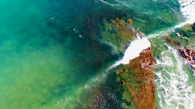 LA BOCANA BCS MEXICO-2022: Waves Crashing on Rocky Shore with Swimmers and Flying Bird