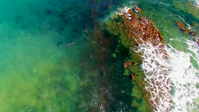 LA BOCANA BCS MEXICO-2022: Swimmers in Clear Coastal Waters near Rocky Shore