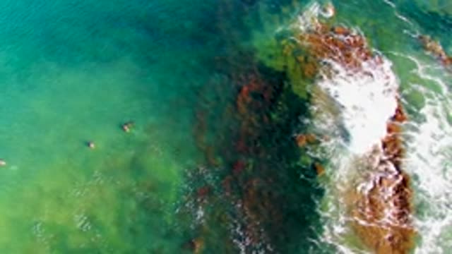 LA BOCANA BCS MEXICO-2022: Swimmers in Clear Ocean Near Rocky Shore