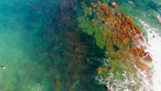 LA BOCANA BCS MEXICO-2022: Clear Coastal Waters with Rocky Seabed and Swimmers