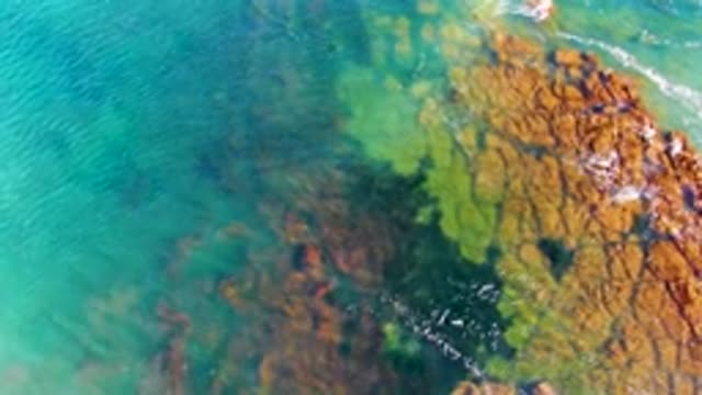 LA BOCANA BCS MEXICO-2022: Ocean Water Flowing over Rocky Coastal Formations