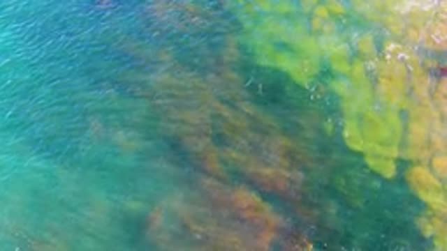 LA BOCANA BCS MEXICO-2022: Clear Water Ripples Over Colorful Submerged Rocks