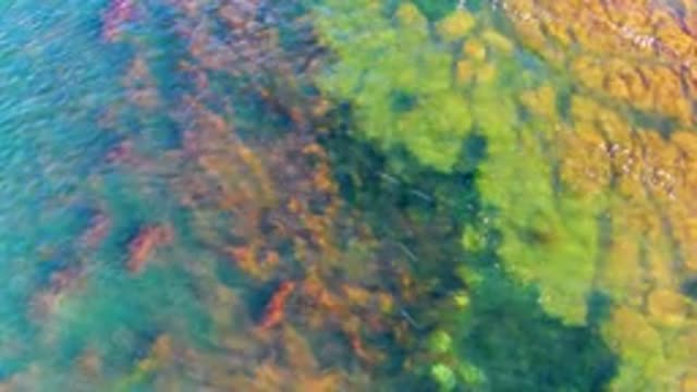 LA BOCANA BCS MEXICO-2022: Shallow Water with Vibrant Underwater Textures