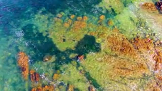 LA BOCANA BCS MEXICO-2022: Waves Lapping Rocky Seabed in Clear Water