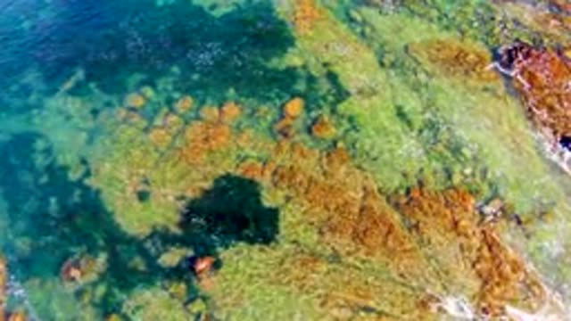 LA BOCANA BCS MEXICO-2022: Gentle Waves on Rocky Shore with Clear Shallow Water