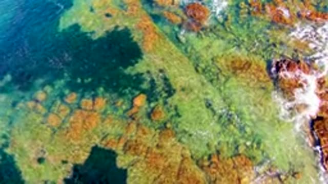 LA BOCANA BCS MEXICO-2022: Ocean Waves Crashing on Rocky Shore Aerial