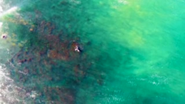 LA BOCANA BCS MEXICO-2022: Surfer Navigating a Breaking Wave in Turquoise Water