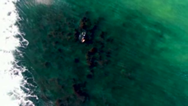 LA BOCANA BCS MEXICO-2022: Person Swimming in Clear Turquoise Ocean Waters