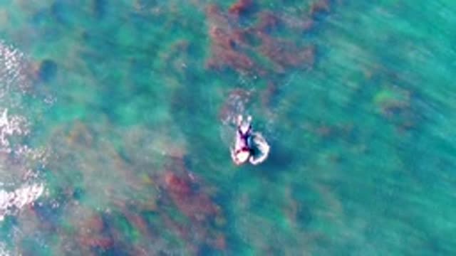 LA BOCANA BCS MEXICO-2022: Swimmer Moving Through Clear Turquoise Ocean Water