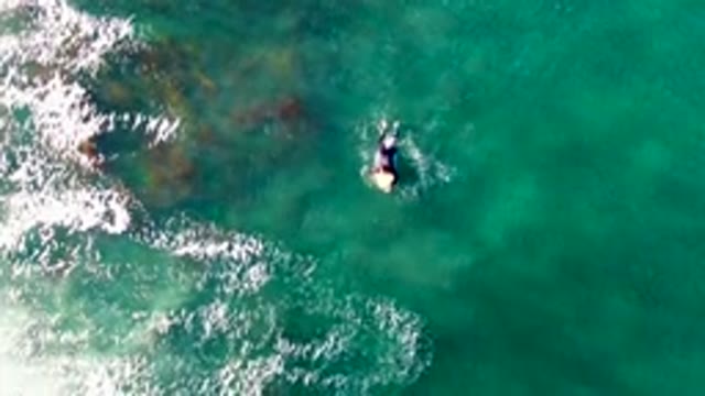 LA BOCANA BCS MEXICO-2022: Person Paddling on Surfboard in Clear Ocean Water