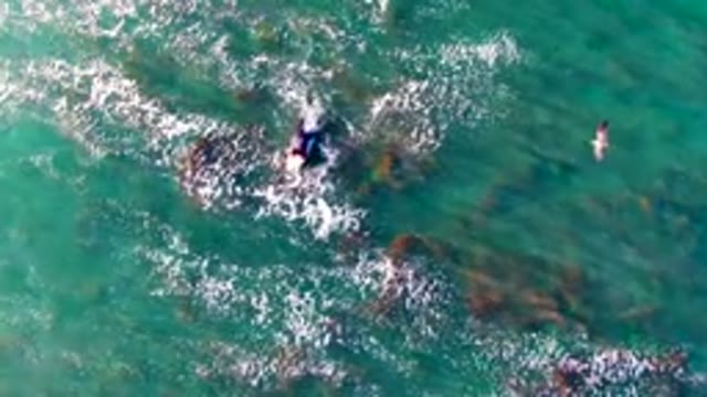 LA BOCANA BCS MEXICO-2022: Overhead View of Swimmers in Clear Ocean Water