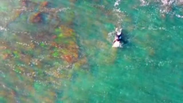 LA BOCANA BCS MEXICO-2022: Person Swimming in Clear Shallow Ocean Water
