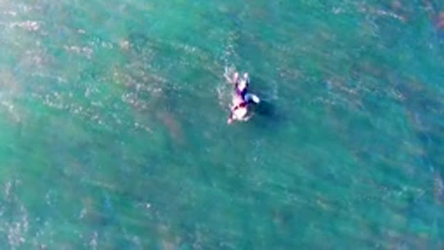 LA BOCANA BCS MEXICO-2022: A Person Swimming in Clear Turquoise Ocean Water From Above