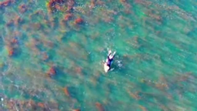 LA BOCANA BCS MEXICO-2022: Person Swimming in Shallow Clear Ocean Water