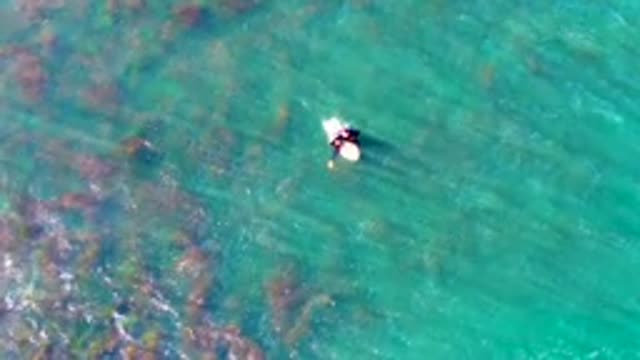LA BOCANA BCS MEXICO-2022: Person Paddling on Surfboard in Clear Ocean Water