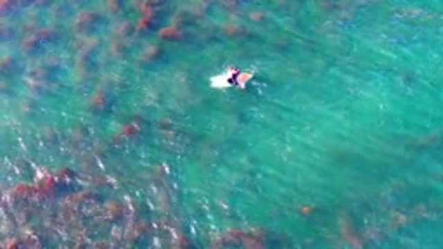 LA BOCANA BCS MEXICO-2022: Person Paddling on a Bodyboard in Turquoise Water
