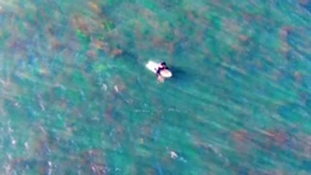 LA BOCANA BCS MEXICO-2022: Person on Surfboard Paddling in Clear Ocean