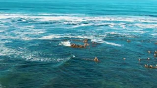 LA BOCANA BCS MEXICO-2022: Surfers and Bodyboarders Riding Ocean Waves