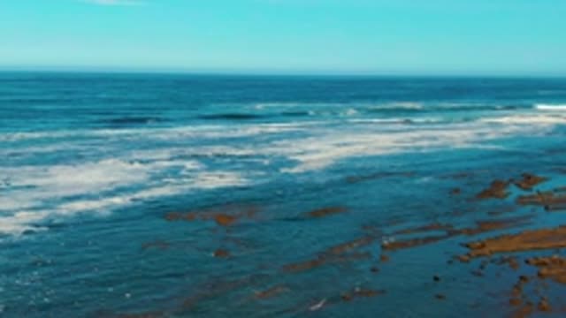 LA BOCANA BCS MEXICO-2022: Waves and Seagull on Rocky Ocean Shore