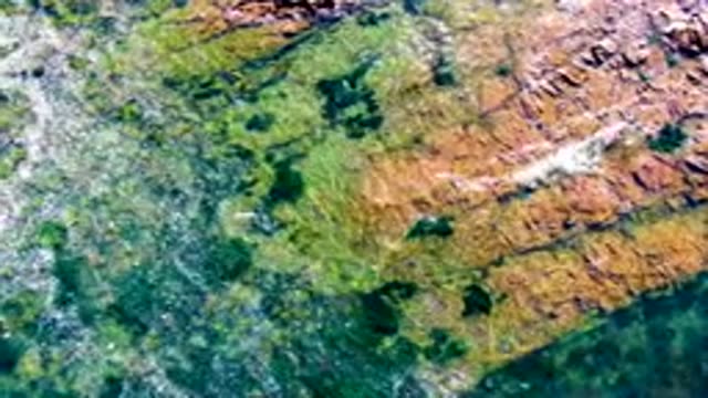 LA BOCANA BCS MEXICO-2022: Gentle Waves Lapping Rocky Shore with Clear Water