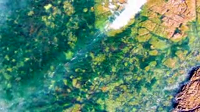LA BOCANA BCS MEXICO-2022: Clear Water Flowing Over Rocky Stream Bed