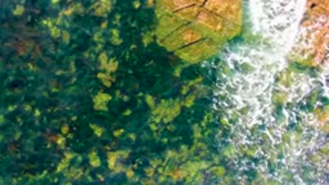 LA BOCANA BCS MEXICO-2022: Shallow Water Ripples Over Rocky Seabed
