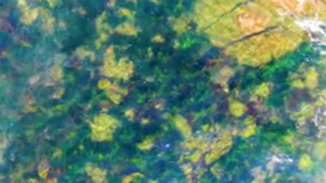 LA BOCANA BCS MEXICO-2022: Clear Shallow Water Over Rocky Seabed with Gentle Waves