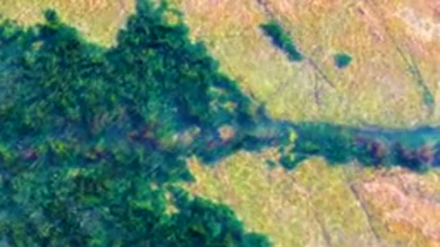 LA BOCANA BCS MEXICO-2022: River Currents Moving Through Submerged Aquatic Plants