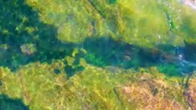 LA BOCANA BCS MEXICO-2022: Clear Shallow Water Flowing Over Rocky Stream Bed