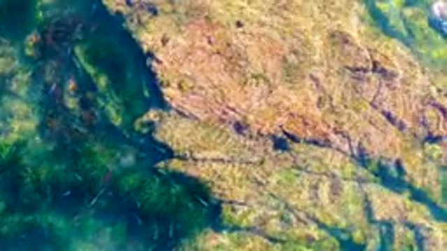 LA BOCANA BCS MEXICO-2022: Clear Water Over Rocky Seabed with Wave Action