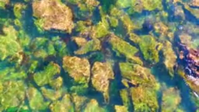 LA BOCANA BCS MEXICO-2022: Clear Water Flowing Over Rocky Seabed