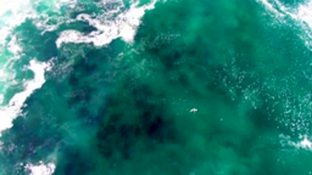 LA BOCANA BCS MEXICO-2022: Swimmer Moving Through Turquoise Ocean Waves
