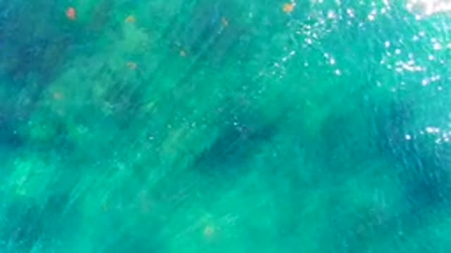 LA BOCANA BCS MEXICO-2022: Clear Turquoise Water with Small Floating Objects Overhead