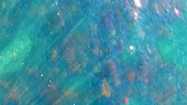 LA BOCANA BCS MEXICO-2022: Clear Shallow Water Over Rocky Seabed
