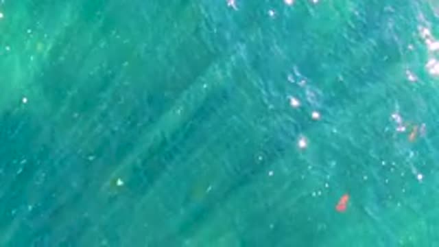 LA BOCANA BCS MEXICO-2022: Clear Ocean Water Revealing Seabed and Marine Life
