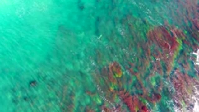 LA BOCANA BCS MEXICO-2022: Shallow Turquoise Water Over Rocky Ocean Floor