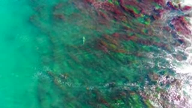 LA BOCANA BCS MEXICO-2022: Clear Turquoise Water Over Rocky Seabed