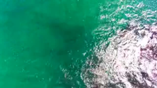 LA BOCANA BCS MEXICO-2022: Shifting Seaweed in Clear Turquoise Ocean Water