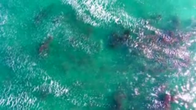 LA BOCANA BCS MEXICO-2022: Clear Turquoise Water with Underwater Rocks