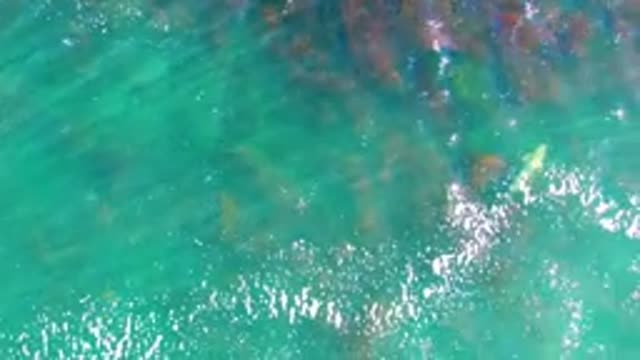 LA BOCANA BCS MEXICO-2022: Gentle Waves Over Clear Turquoise Water and Rocky Seabed