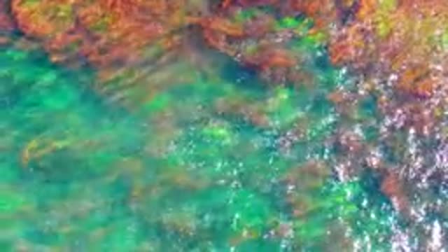 LA BOCANA BCS MEXICO-2022: Shallow Ocean Water and Breaking Wave