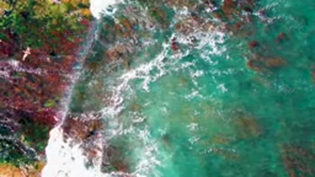 LA BOCANA BCS MEXICO-2022: Person Swimming in Rocky Coastal Waters