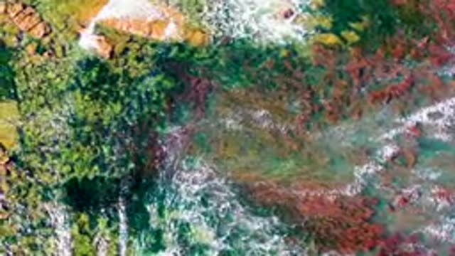 LA BOCANA BCS MEXICO-2022: Bird Flying over Rocky Coastal Waters