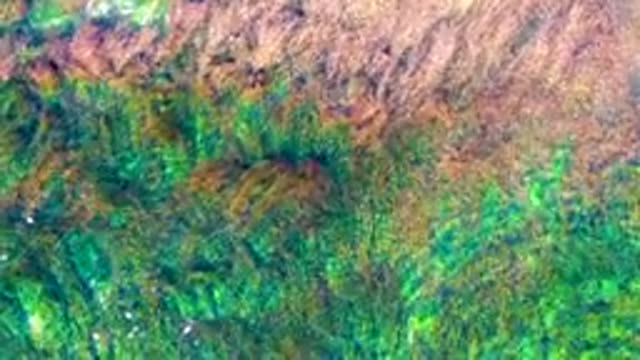 LA BOCANA BCS MEXICO-2022: Shallow Water Algae and Moving Current From Above