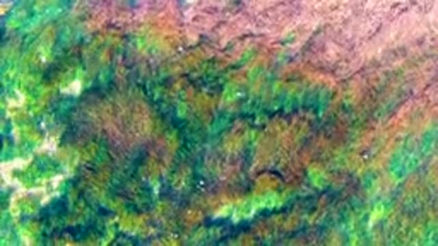 LA BOCANA BCS MEXICO-2022: Waves Breaking Over Submerged Seaweed