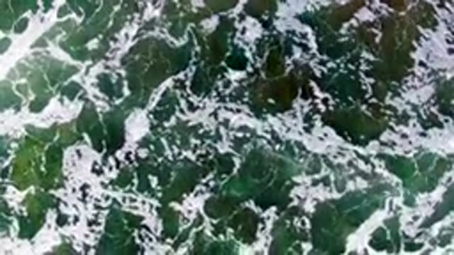 LA BOCANA BCS MEXICO-2022: Waves Breaking Over Seaweed in Shallow Ocean Water