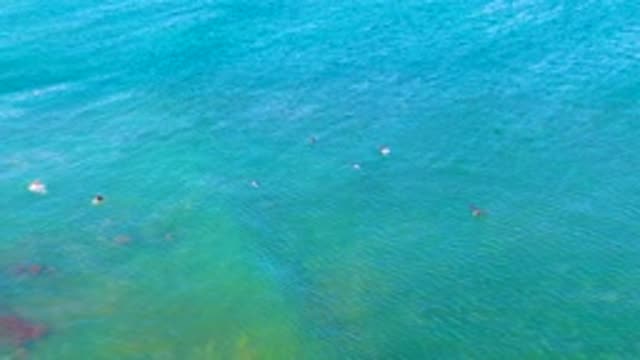 LA BOCANA BCS MEXICO-2022: People Swimming in Clear Shallow Ocean Water