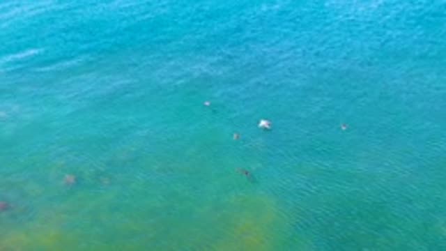 LA BOCANA BCS MEXICO-2022: Swimmers and Floaters in Clear Ocean Water