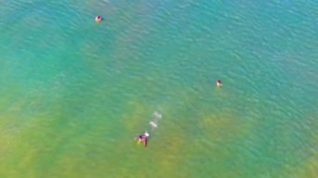 LA BOCANA BCS MEXICO-2022: Swimmers Moving in Clear Shallow Ocean Water