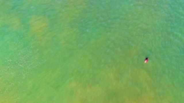 LA BOCANA BCS MEXICO-2022: Person Swimming in Clear Green Water